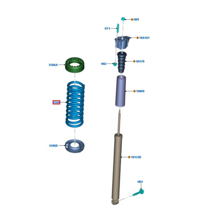 Rear Coil Spring