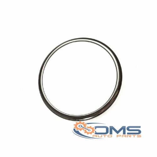 Ford Focus Front Fog Lamp Trim 1528748, 1514714, 1523189, 8M5115B200ACSMAS, 8M5115B200ABSMAS, 8M5115B200AASMAS