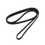 Ford S-Max Fan Belt - 6PK1744, 1427353, 6H5Q6C301BA