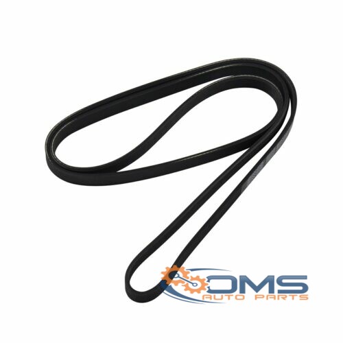 Ford S-Max Fan Belt - 6PK1744, 1427353, 6H5Q6C301BA