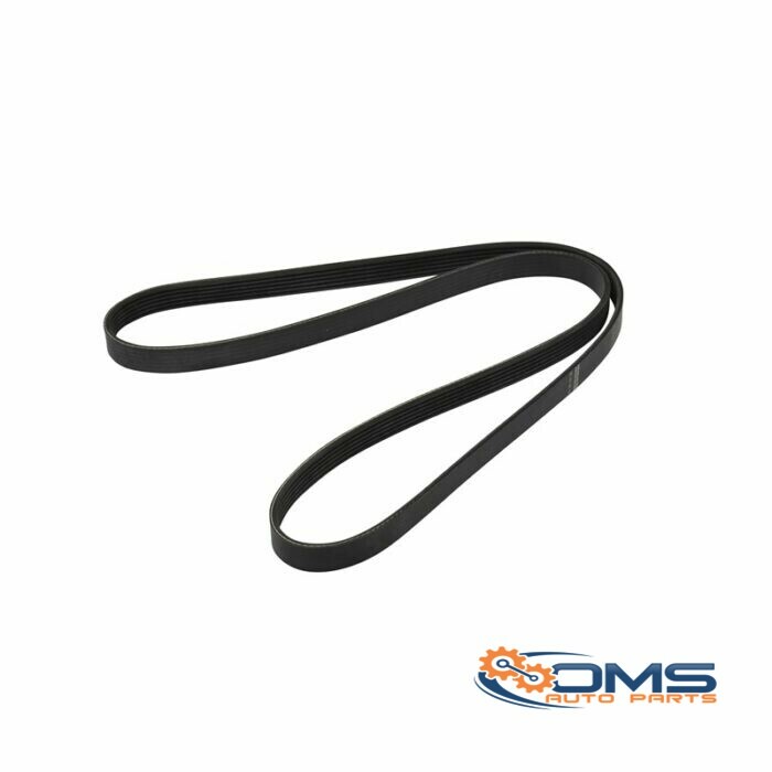 Ford Focus C-Max Fan Belt - 6PK1520 1316336, 4M5Q6C301GB