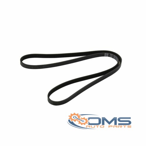 Ford Focus Fan Belt - 4PK1360 5160289, 2441653, 2403509, 2168928, CV6E6C301AA, CV6E6C301EA, CV6E6C301DA, CV6E6C301AB