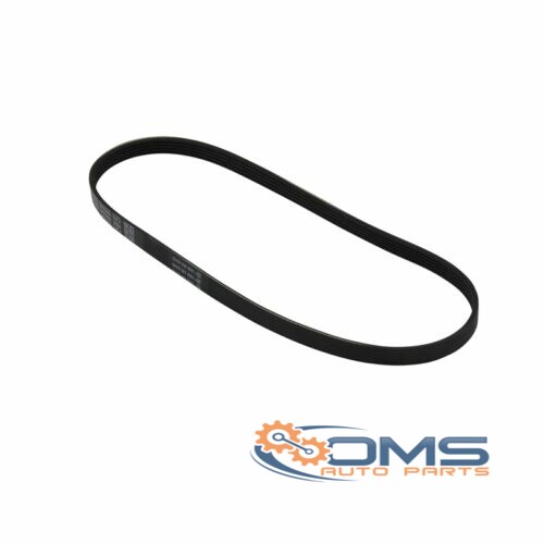 Ford Focus Fan Belt - 5PK890 1563258, 1370974, 6M5Q6C301BB, 6M5Q6C301BA