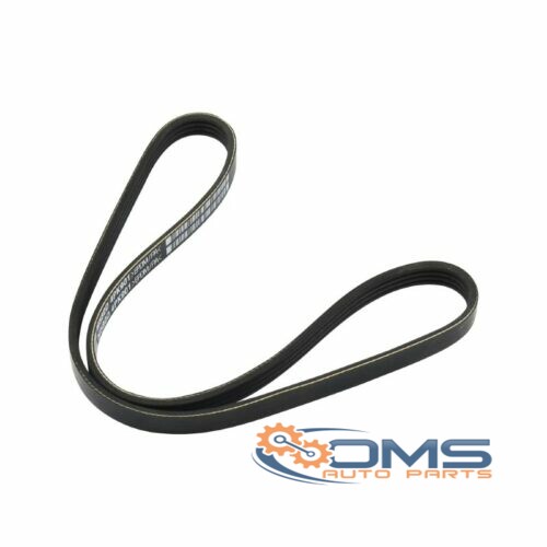 Ford Focus Fanbelt 4EPK903, 2373404, 2017144