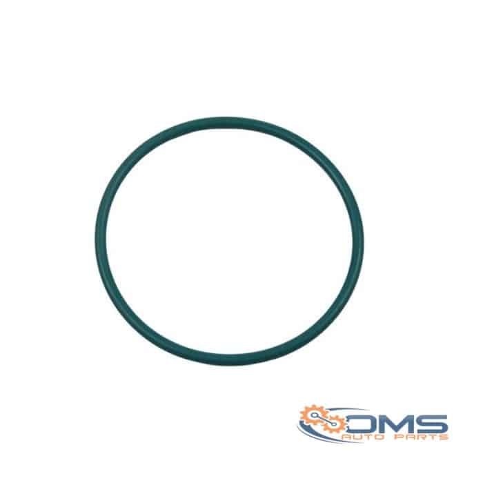 Ford Transit O Ring On Fuel Pump 1430481, W711698S300