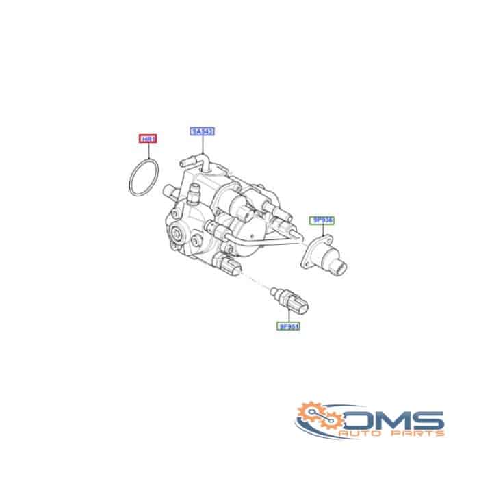 Ford Transit O Ring On Fuel Pump 1430481, W711698S300