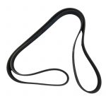 Ford Transit Connect Fanbelt 1797879, 1764173, 1494787, 6T1Q6C301AA, 6T1Q6C301AB, 6T1Q6C301AC, OMS Auto Parts