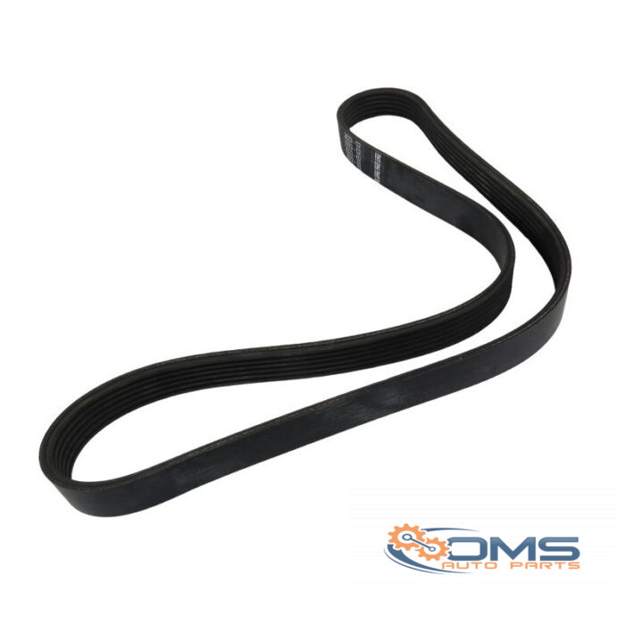 Ford Focus/C-Max Fanbelt 1354254, 1322009, 4M5Q6D314BA, 4M5Q6D314BB, OMS Auto Parts