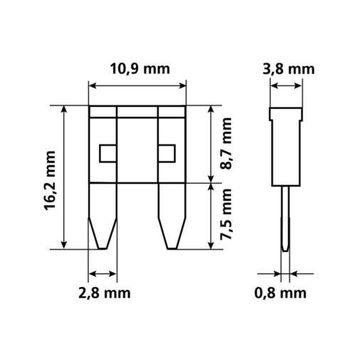 Set 10 Assorted Micro-Blade Fuses 12-32V -OMS Auto Parts